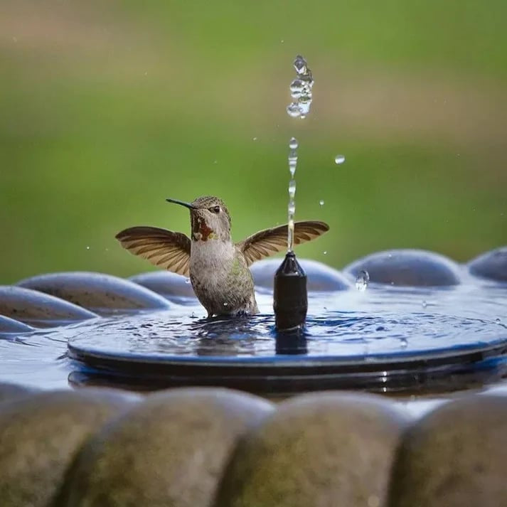 🎁Solar Fountain, Solar Powered Bird Bath Fountain Pump with 4 Nozzles 1.4W Solar Panel Kit Water Pump, Outdoor Watering Submersible Pump for Pond, Pool, Garden, Fish Tank